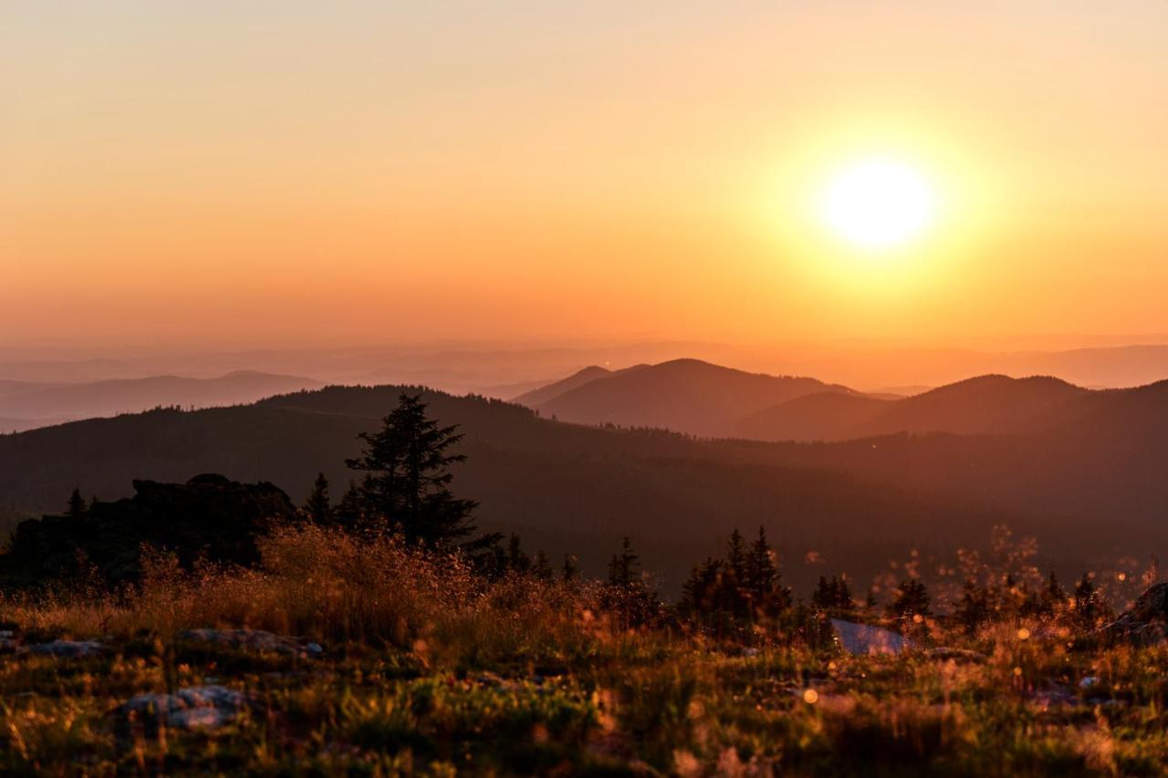 Wander Und Aktiv Hotel Roesslwirt Lam Dış mekan fotoğraf