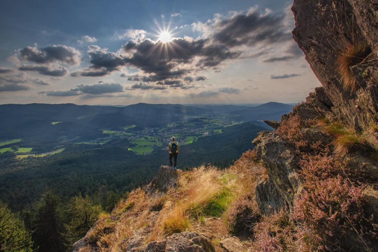 Wander Und Aktiv Hotel Roesslwirt Lam Dış mekan fotoğraf