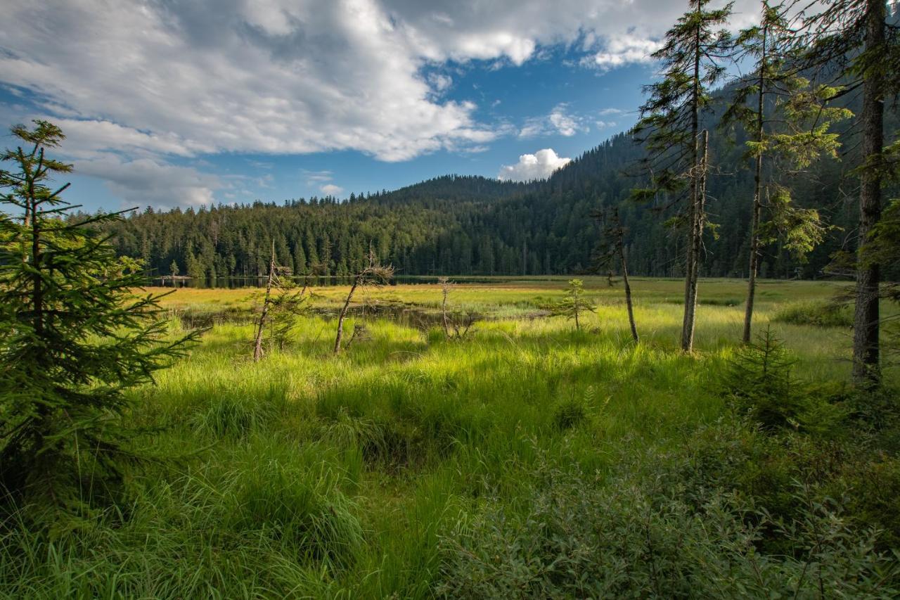 Wander Und Aktiv Hotel Roesslwirt Lam Dış mekan fotoğraf